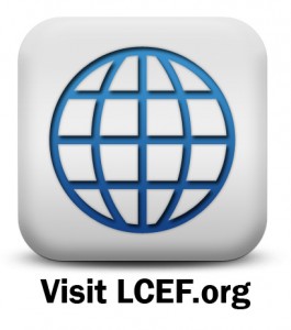 lcef-business-globe